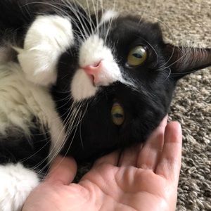 Meet your Posher, Nicolette